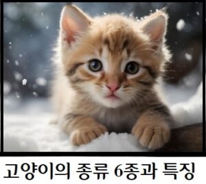 고양이배너 1 남이섬 당일치기 여행코스 특가여행