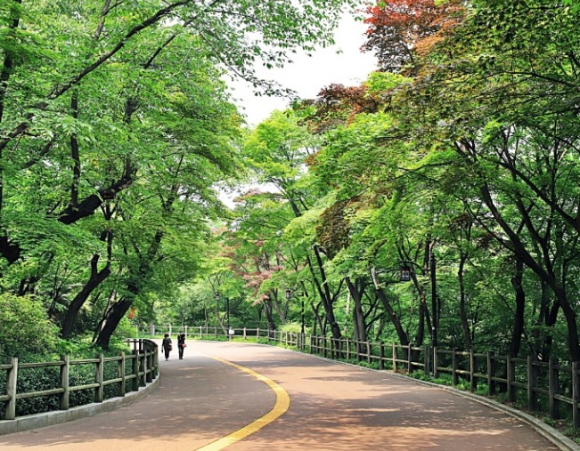 남산북측조깅로