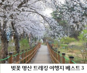 벚꽃명산 트레킹 배너 지금부터 할수 있는 치매 예방 습관과 운동 4가지