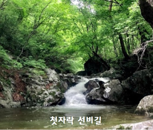 벚꽃 명산 트레킹 여행지 베스트 3 추천 첫자락 선비길