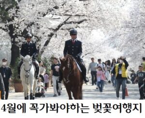 4월에꼭 가봐야하는 벚꽃여행 배너 2 2024 축제 뮤직 페스티벌 일정 라인업 총정리