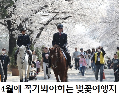 4월에꼭 가봐야하는 벚꽃여행 배너 2024 메가필드 뮤직페스티벌 출연진 라인업 난지한강공원