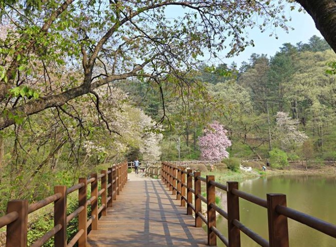 포천국립수목원2 주말에 산책하고 걷기 좋은 숲길 7곳 추천