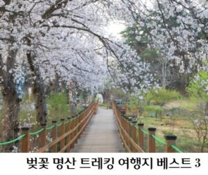 벚꽃명산 트레킹 배너 1 주말 봄꽃 산책길 숲길 추천 서대문구 안산 자락길